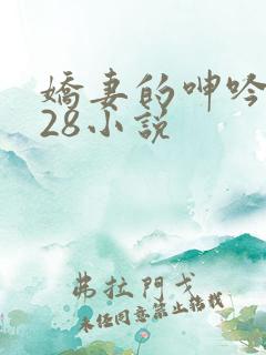 娇妻的呻吟1—28小说