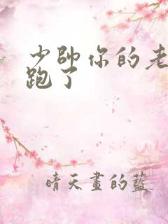 少帅你的老婆又跑了