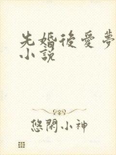 先婚后爱梦筱二小说