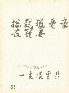 总裁猎爱豪门一夜宠妻