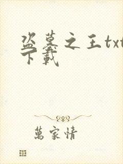 盗墓之王txt下载