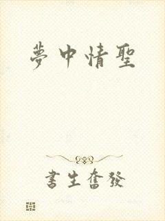 梦中情圣