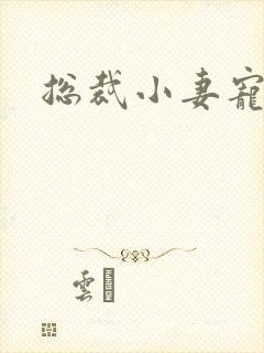 总裁小妻宠上天