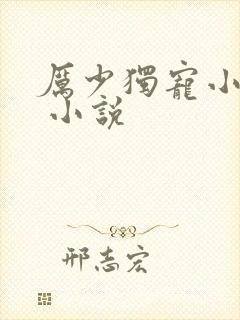 厉少独宠小娇妻 小说