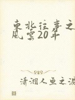 东北往事之黑道风云20年