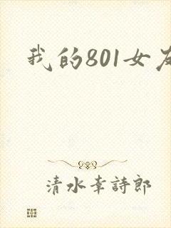 我的801女友