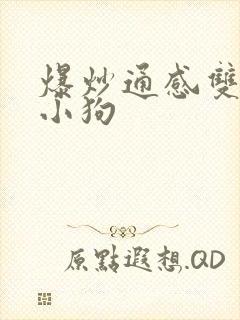 爆炒通感双胞胎小狗