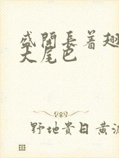 盛开长着翅膀的大尾巴