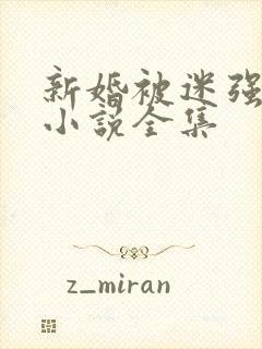 新婚被迷强系列小说全集