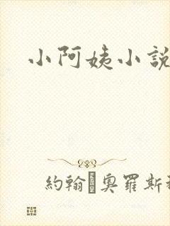 小阿姨小说
