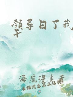 领导日了我一下午