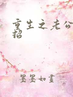 重生之老公请接招