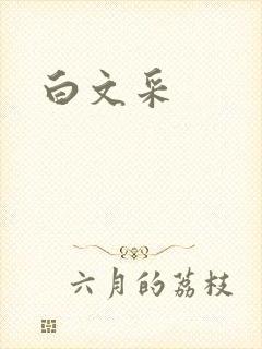 白文采