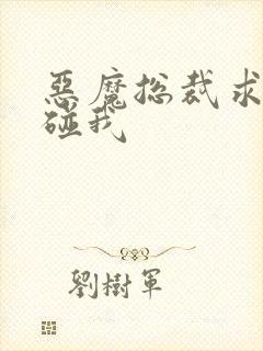 恶魔总裁求你别碰我