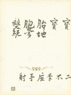 双胞胎宝宝的总统爹地