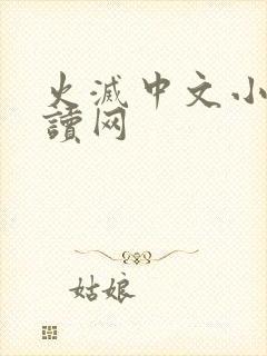 火灭中文小说阅读网