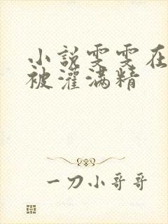 小说雯雯在工地被灌满精