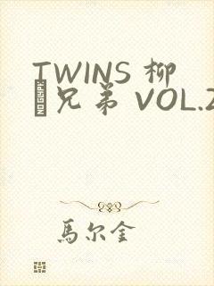 TWINS 柳澤兄弟 VOL.2