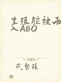 生殖腔被两根进入ABO