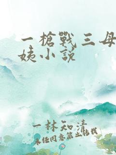 一枪战三母2雪姨小说