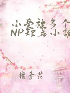 小受被多个攻强NP短篇小说