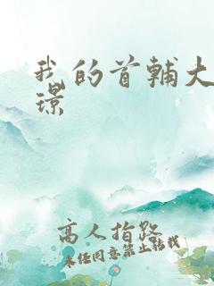 我的首辅大人陆璟