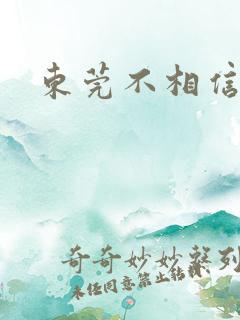 东莞不相信眼泪