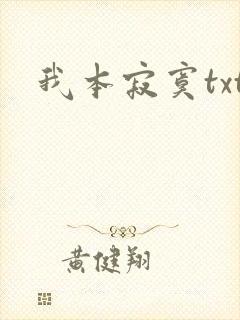 我本寂寞txt
