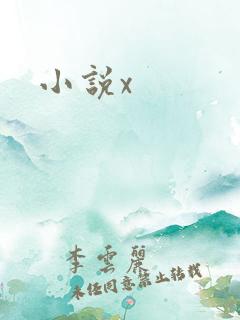 小说x