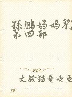 孙鹏妈妈刘淑英第四部