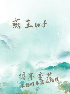 燕王wf