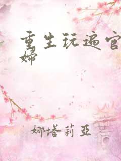 重生玩遍官场贵妇