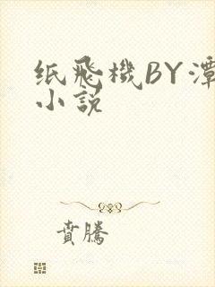 纸飞机BY潭石小说