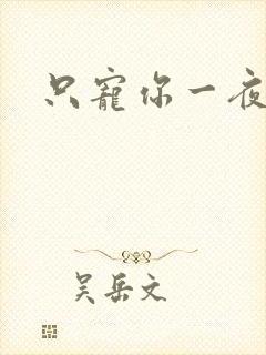 只宠你一夜