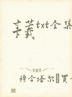 寸芒txt全集下载