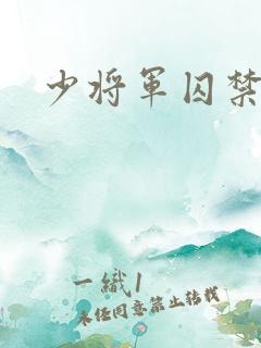 少将军囚禁我