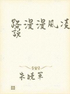 路漫漫风凌轩小说