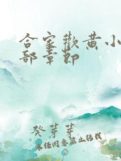 合家欢黄小梅全部章节