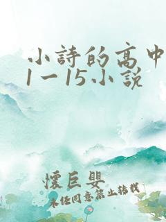 小诗的高中日记1一15小说