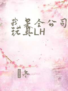 我是全公司发泄玩具LH