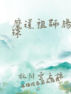 魔道祖师肠道串珠