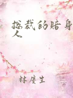 总裁的赔身小情人