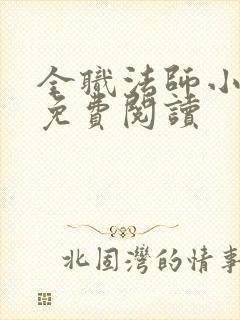 全职法师小说 免费阅读