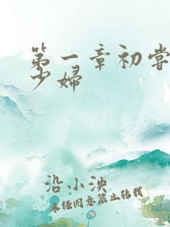 第一章初尝云雨少妇