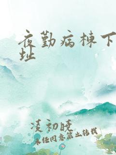 夜勤病栋下载地址