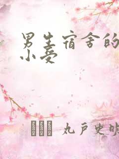 男生宿舍的公共小受