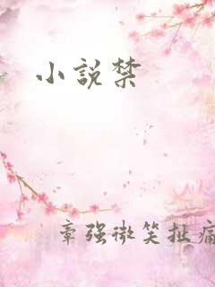 小说禁