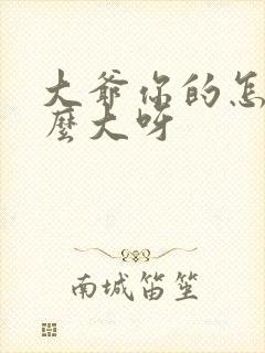 大爷你的怎么这么大呀