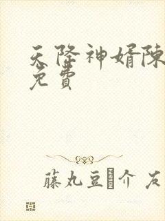 天降神婿陈黄皮免费