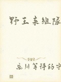 野王来组队小说